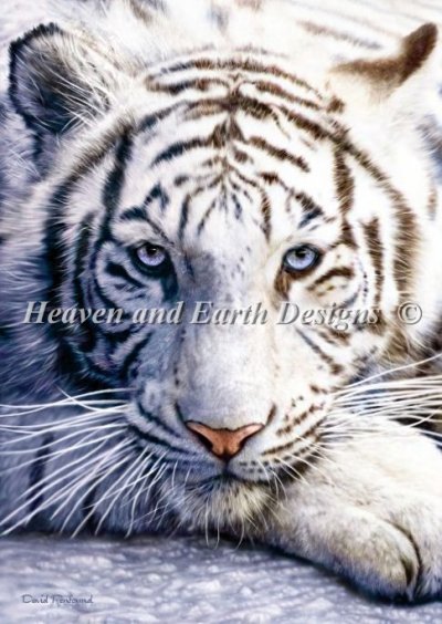 Diamond Painting Canvas - Mini White Tiger - Click Image to Close